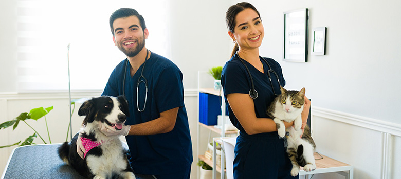 Un chat et un chien auprès de deux vétérinaires - La Prévention Médicale