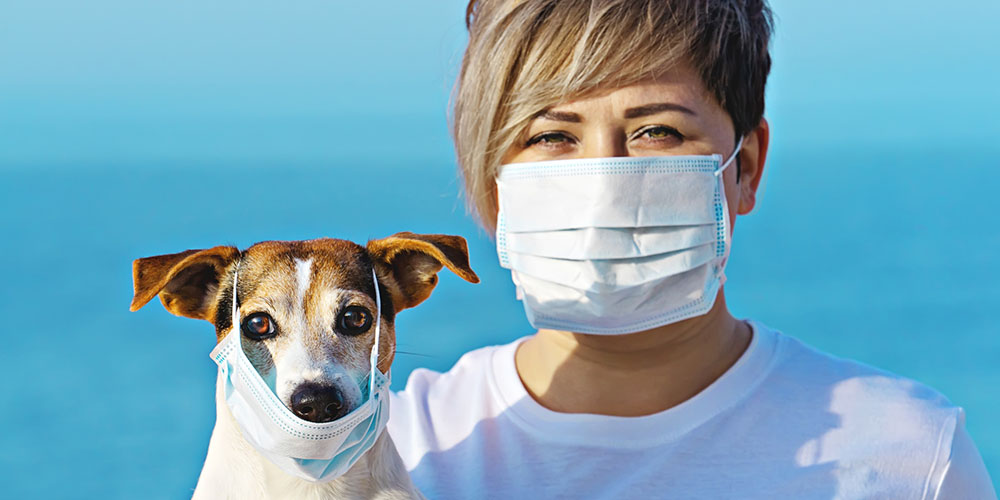 Animal de compagnie et son maître portant un masque