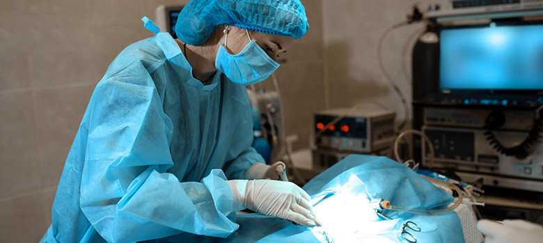 Vétérinaire pratiquant une intervention chirurgicale - La Prévention Médicale