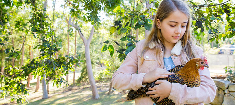Une fillette tient une poule dans ses bras à l'entrée d'un parc boisé - La Prévention Médicale