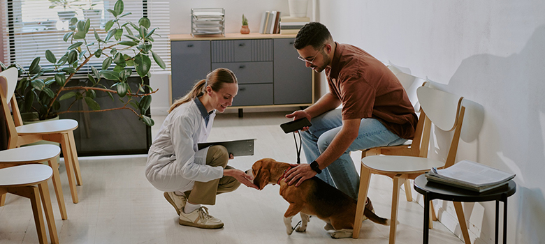 Une vétérinaire accroupie face à un chien tenu en laisse par son propriétaire dans la salle d'attente - La Prévention Médicale