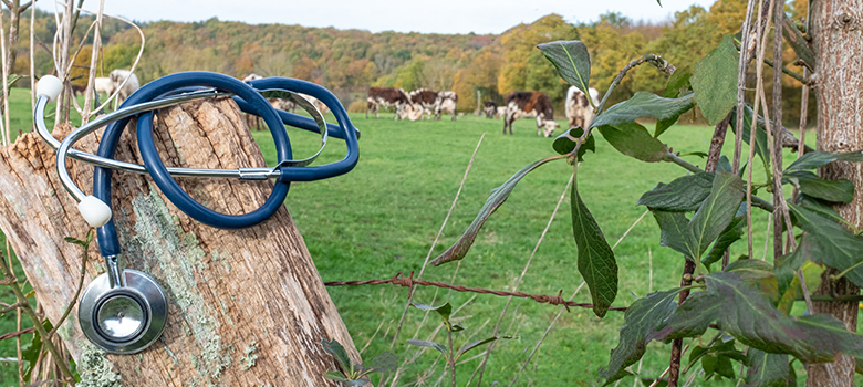 Un stéthoscope posé sur une borne kilométrique au bord d'une route départementale - La Prévention Médicale