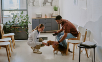 Une vétérinaire accroupie face à un chien tenu en laisse par son propriétaire dans la salle d'attente - La Prévention Médicale