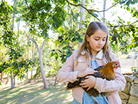 Une fillette tient une poule dans ses bras à l'entrée d'un parc boisé - La Prévention Médicale